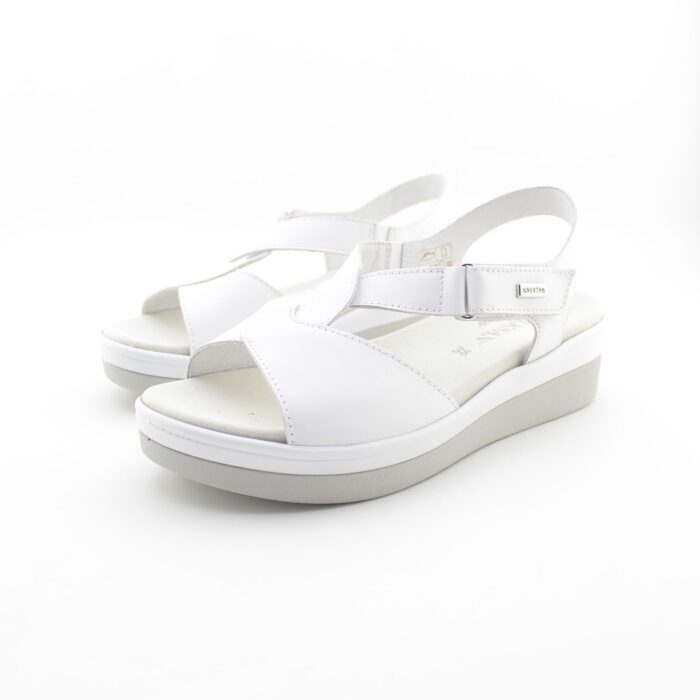 SUSIMODA - 2012.34 - immagine 3