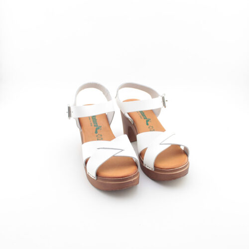 BIONATURA - 64 A 2015 - immagine 2