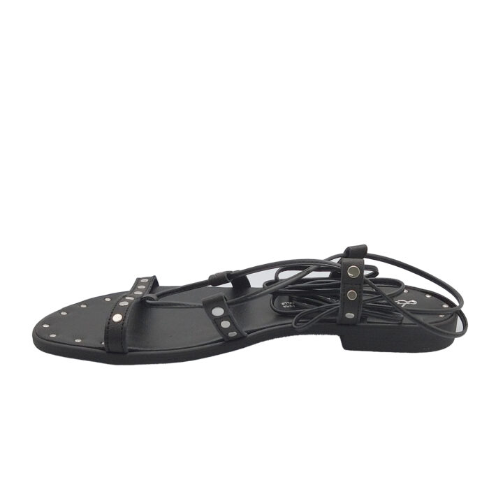 LAURA BIZZARRI - 41505 - immagine 4