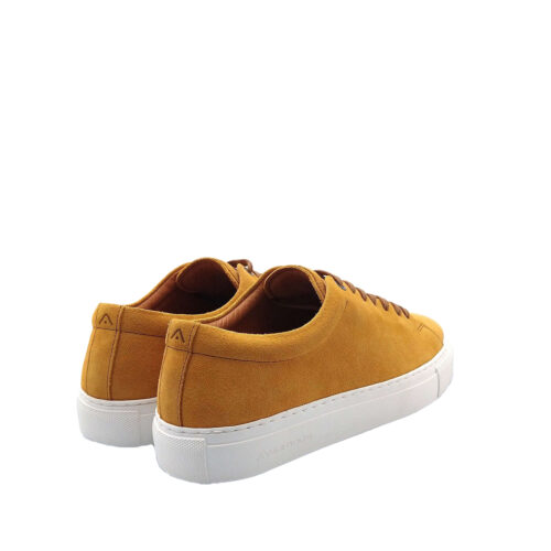 AMBITIOUS - 11187A - immagine 5