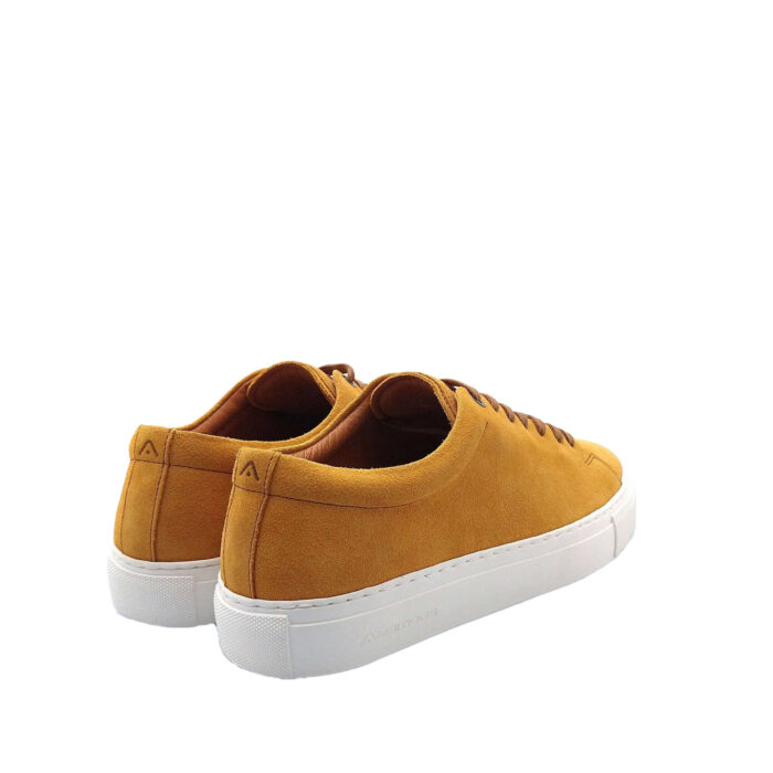 AMBITIOUS - 11187A - immagine 5