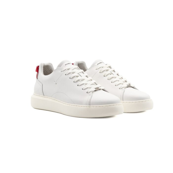 AMBITIOUS - 10443A - immagine 2