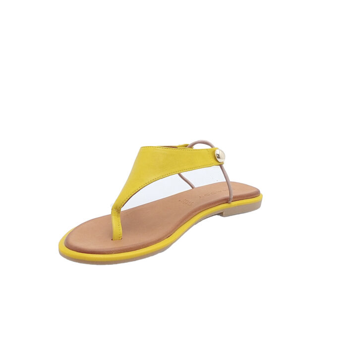 SHADDY - 108 220203 - immagine 3