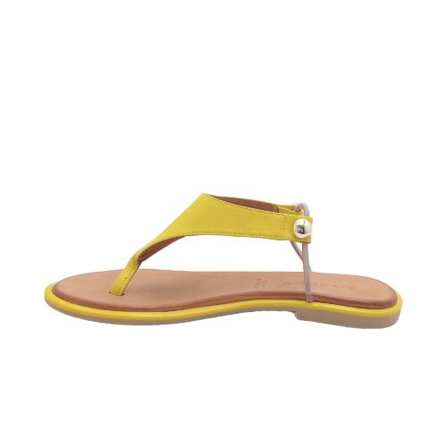 SHADDY - 108 220203 - immagine 4