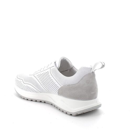 IGI&CO - 3629000 - immagine 3