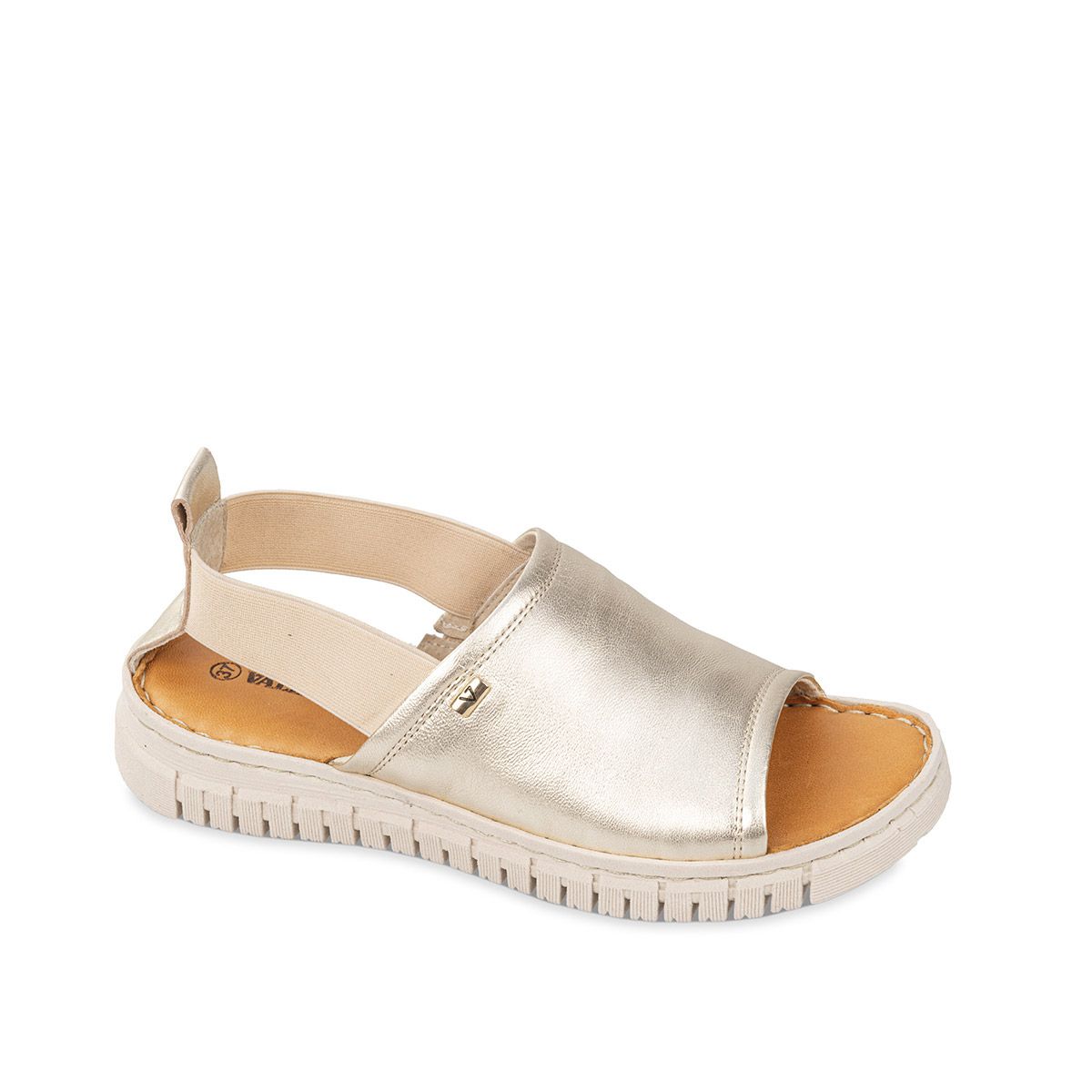 image_15839.jpg VALLEVERDE - 16071 - immagine 1