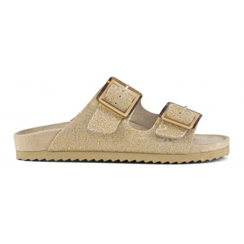 COLORS OF CALIFORNIA - HC.BIO302