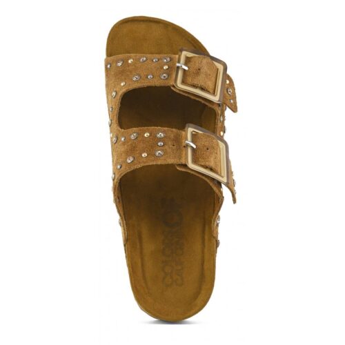 COLORS OF CALIFORNIA - HC.BIO304 - immagine 3