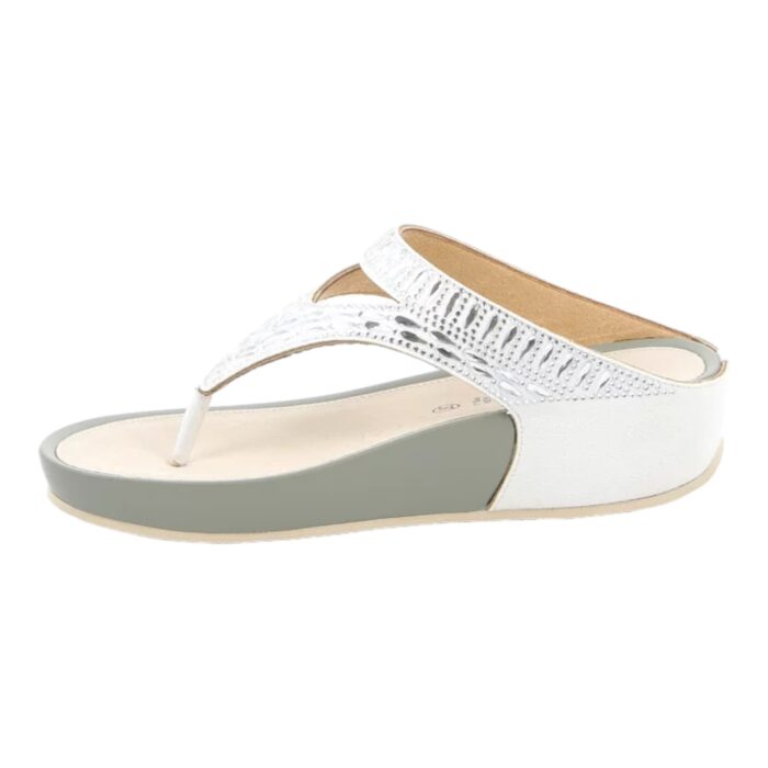 GRUNLAND - CI 3671 - immagine 3