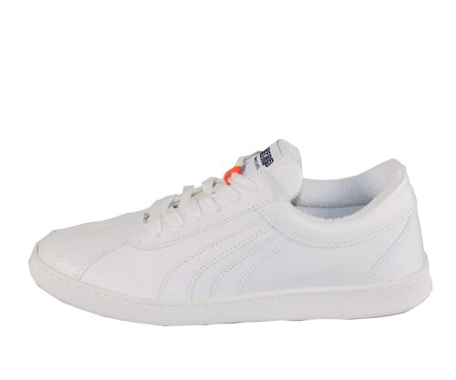 MECAP - LAUDA 81 - immagine 2