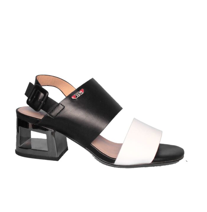 GAI MATTIOLO - NC112 - immagine 3