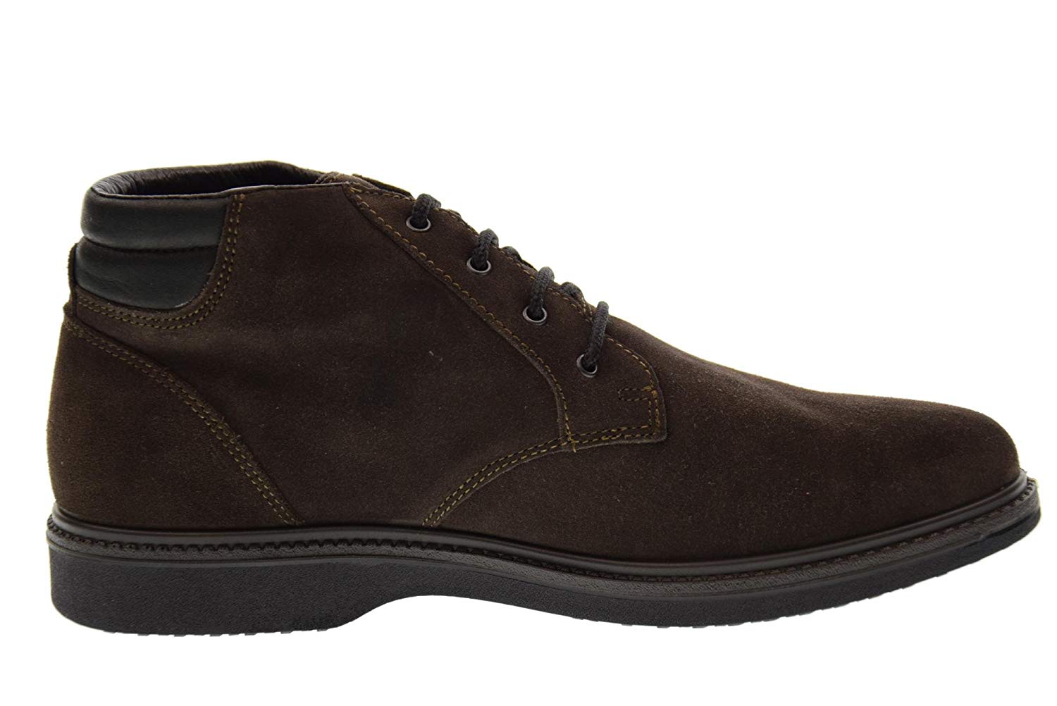 image_6665.jpg VALLEVERDE - 51812 - immagine 1