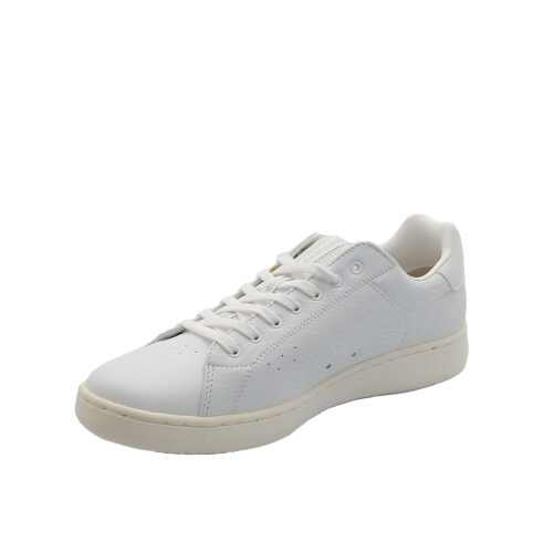 LOTTO - S7869 - immagine 3