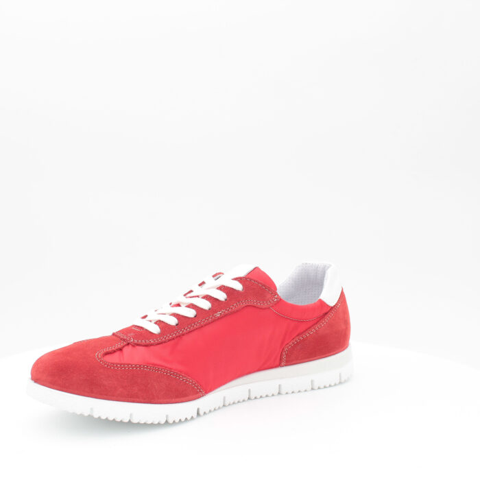 IGI&CO - 3121944 - immagine 4