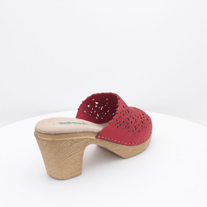 BIONATURA - 64 A 2014 - immagine 2