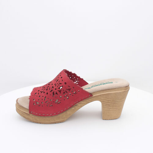 BIONATURA - 64 A 2014 - immagine 4