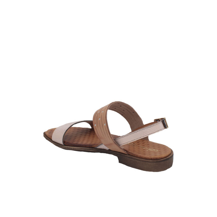 LAURA BIZZARRI - 55031 - immagine 4