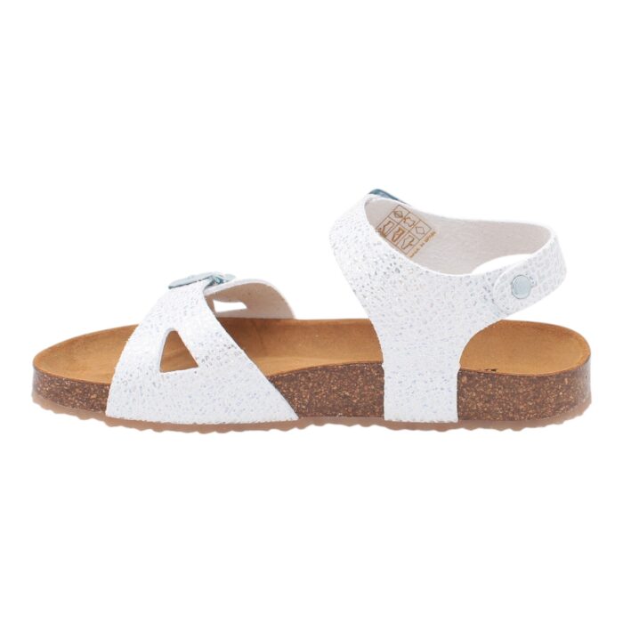 BALOCCHI - 495724 - immagine 5