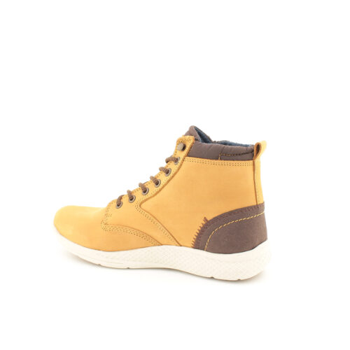 DOCKSTEPS - DSE106084 - immagine 5