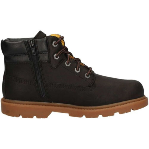 CAT - P102360 - immagine 4