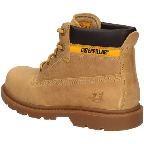 CAT - P102361 - immagine 2