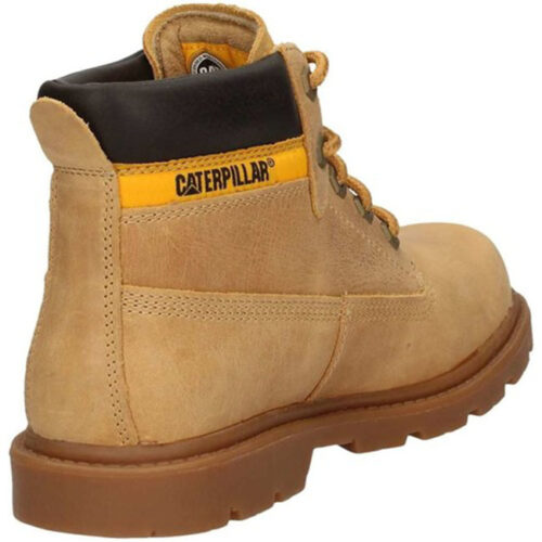 CAT - P102361 - immagine 3