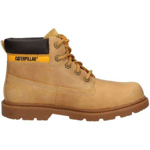 CAT - P102361 - immagine 4