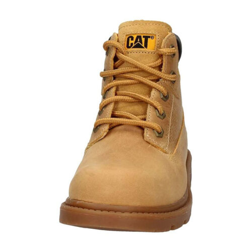 CAT - P102361 - immagine 5