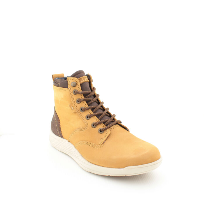 DOCKSTEPS - DSE106084 - immagine 2