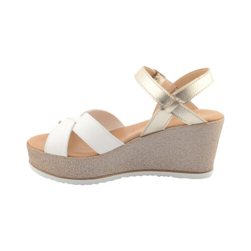 LE BARBOTTINE - KT26 - immagine 3