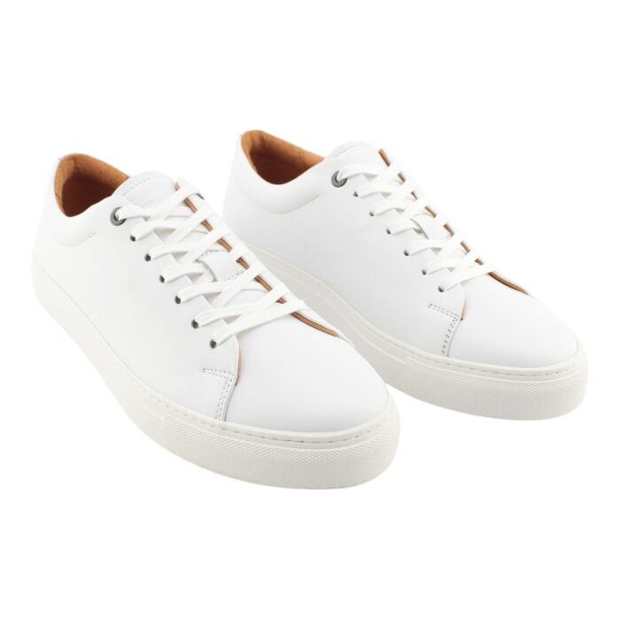 AMBITIOUS - 11187A - immagine 2