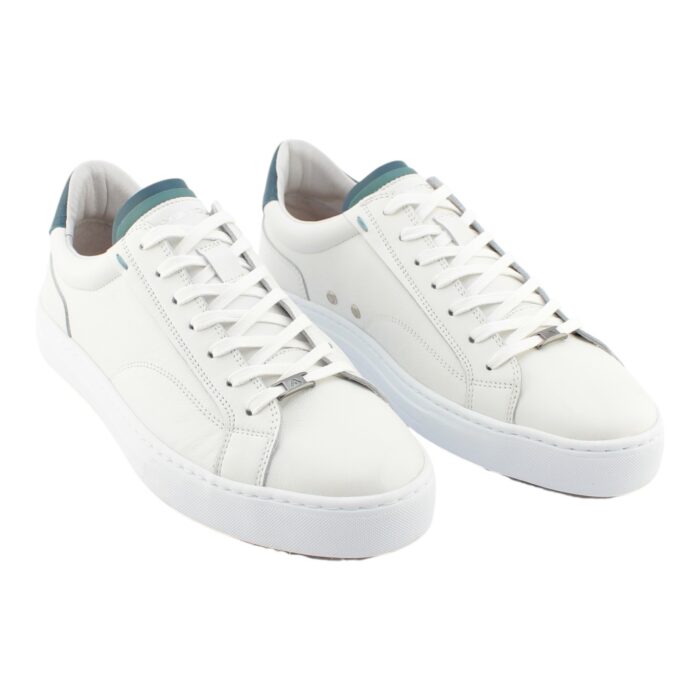 AMBITIOUS - 11218 - immagine 2