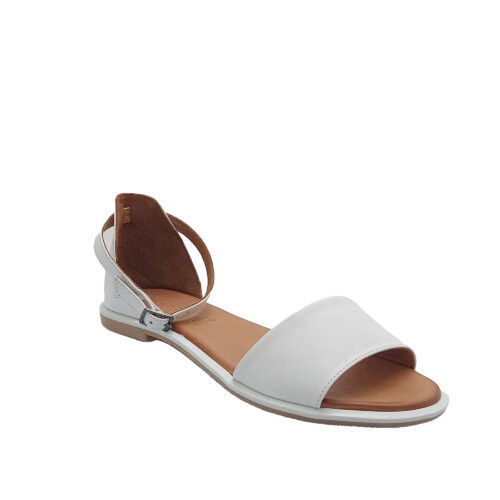 SHADDY - 108 220204 - immagine 2