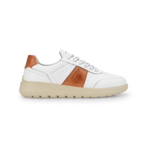 AMBITIOUS - 12863-5164AM HOVER