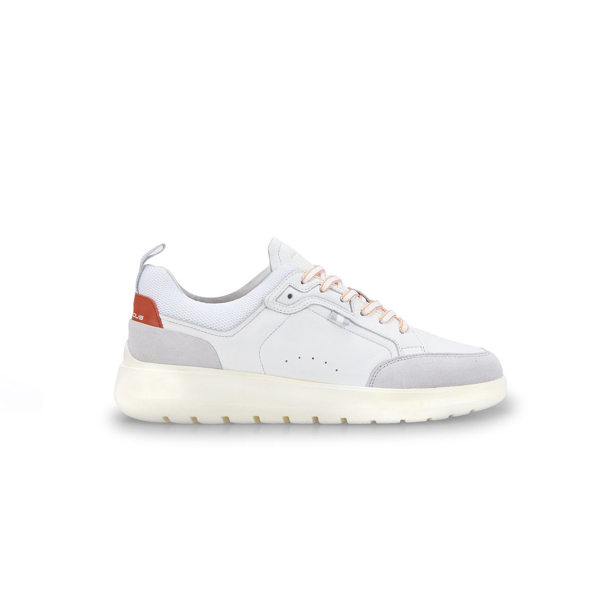 image_16128-3.jpg AMBITIOUS - 12806-7027AM HOVER - immagine 1