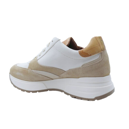 ALVIERO MARTINI - 1719/1617 - immagine 3