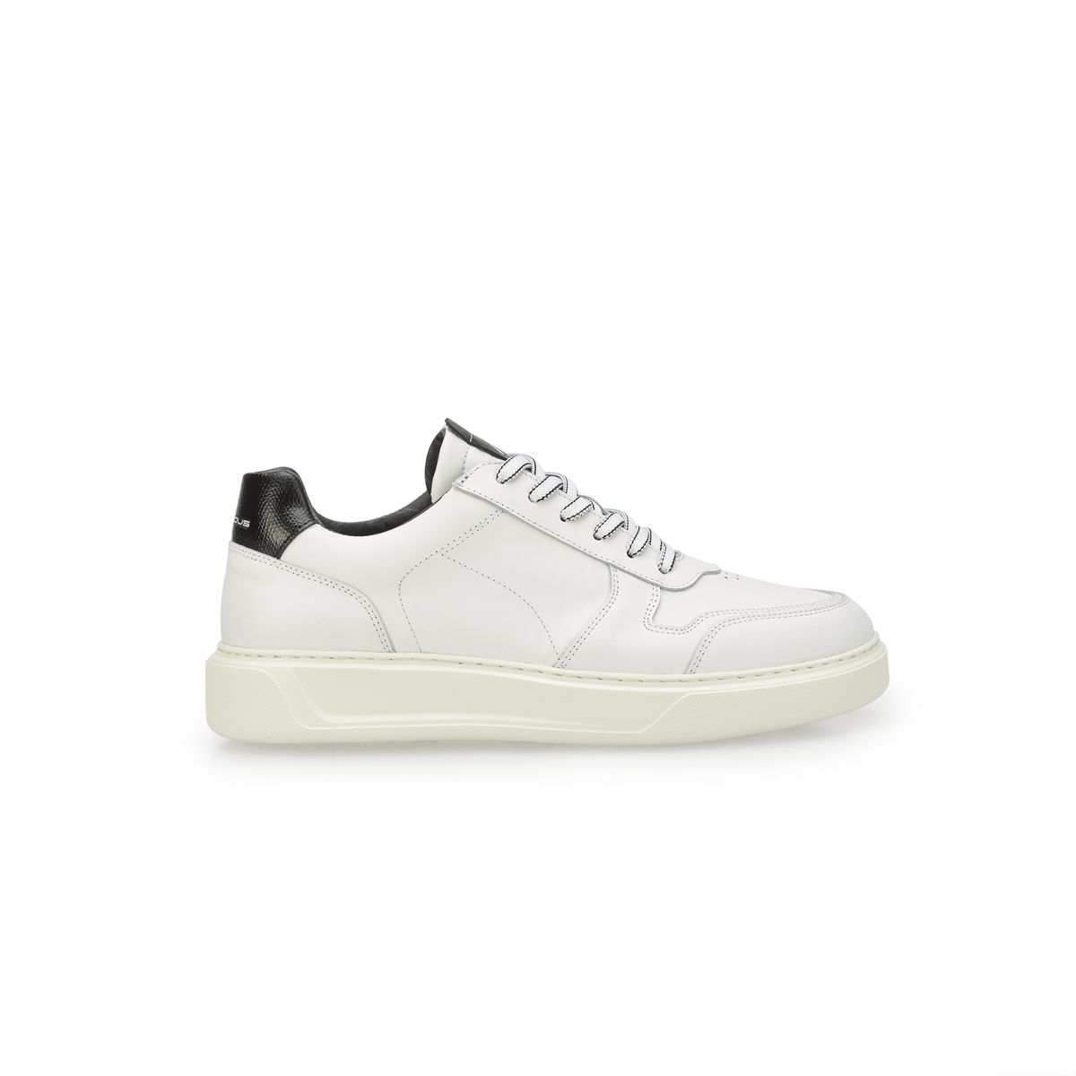 image_16953.jpg AMBITIOUS - 12892D-4838AM KIT - immagine 1