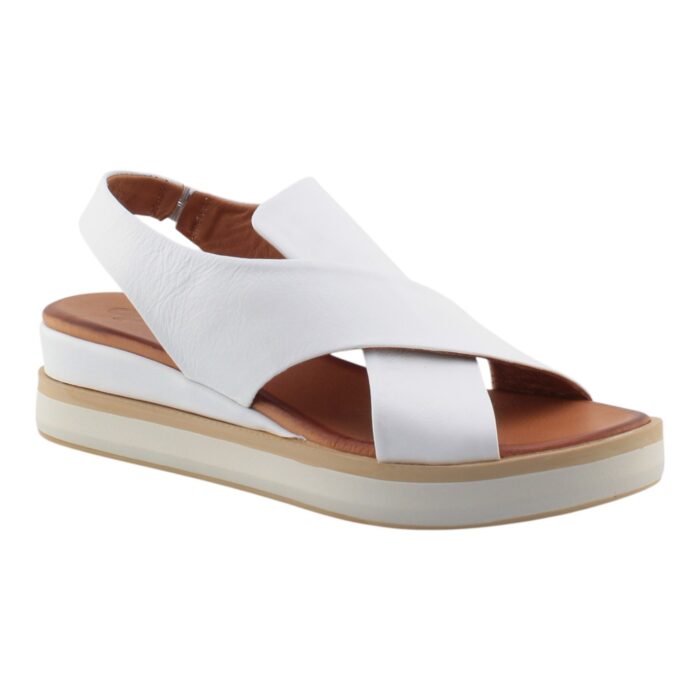 DAPHNE - SAM942 - immagine 2