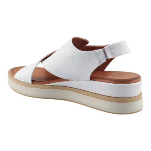 DAPHNE - SAM942 - immagine 3