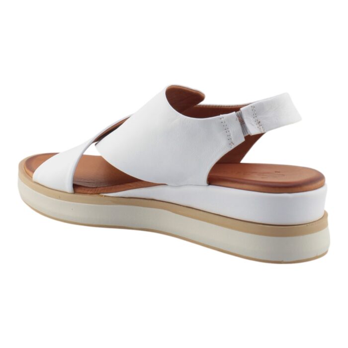 DAPHNE - SAM942 - immagine 3