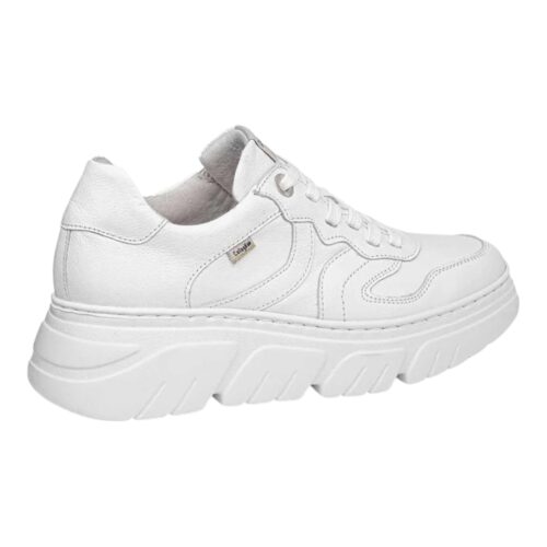 CALLAGHAN - 51809 BACCARA - immagine 3