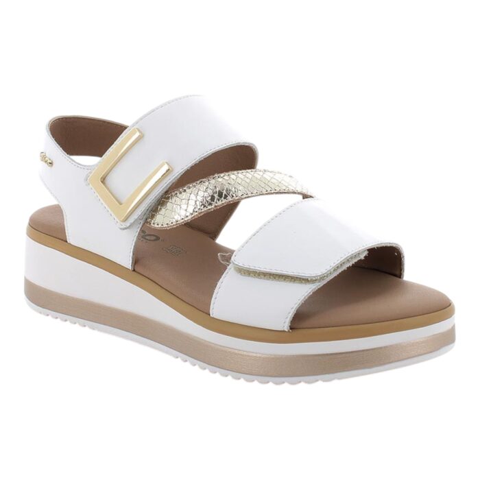 IGI&CO - 7687622 - immagine 2