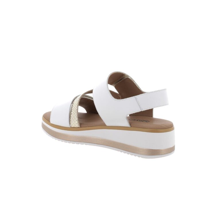 IGI&CO - 7687622 - immagine 3