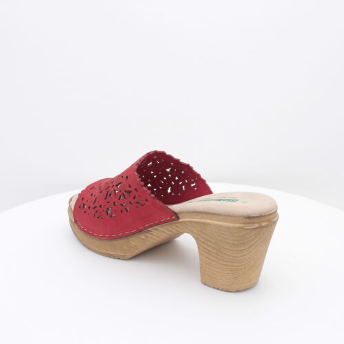 BIONATURA - 64 A 2014 - immagine 3