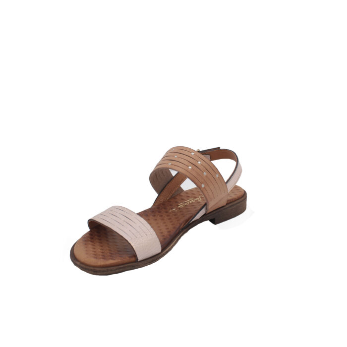 LAURA BIZZARRI - 55031 - immagine 3